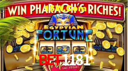 Experiência VIP bet1181